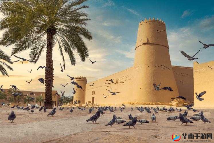 69xxxxx 阿拉伯xxxxxc69:独特的神秘组合