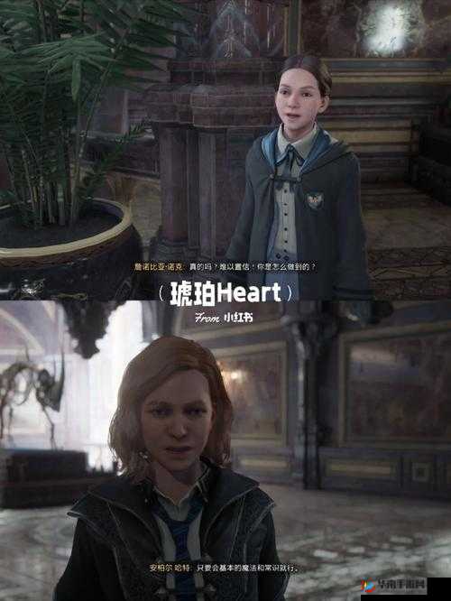 霍格沃茨之遗高布石获取位置详细一览及全攻略指南