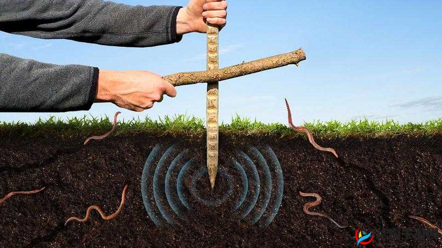 神奇魔法世界中探寻创造蚯蚓数量最多之地的奇妙之旅