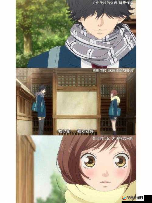 朝阳初升校园 11H 的探索与体验:青春之旅