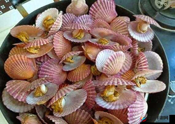 快让我尽情享用你的小扇贝呀