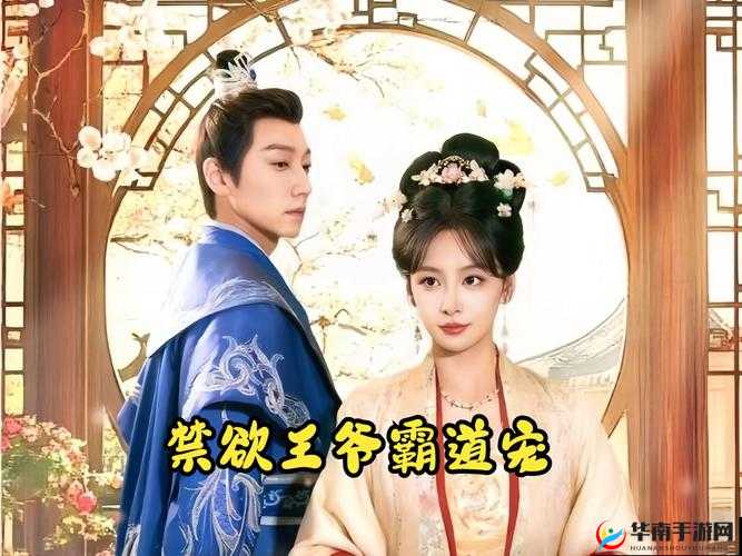 1v3 高干穿越：霸道王爷的独宠