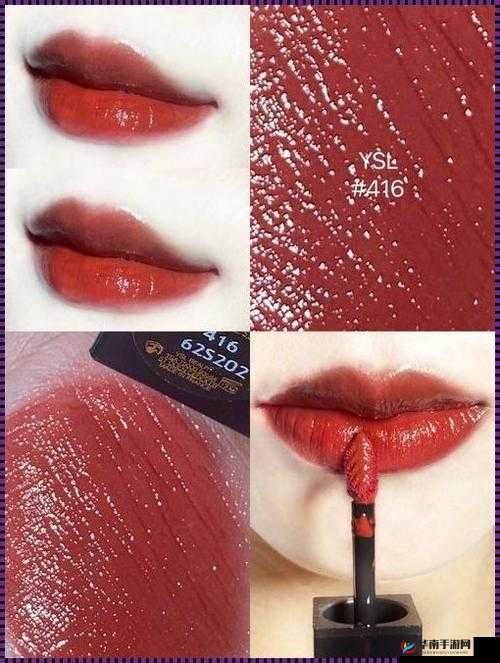 YSL 千人千色 8434：独特魅力之选