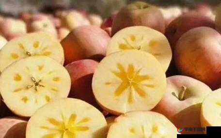 国精产品一区一区三区糖心：甜蜜的诱惑