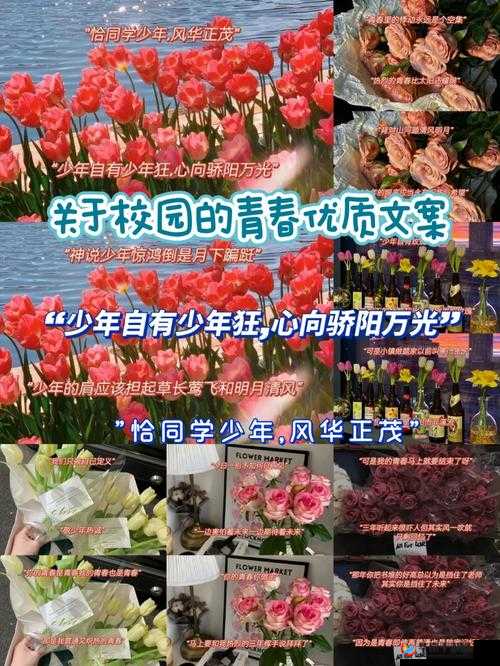 好喜欢你呐校园情感新解之青春的悸动