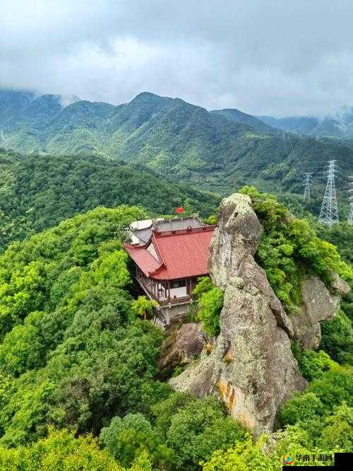 桃花洞口现状探访：深度解析与发现