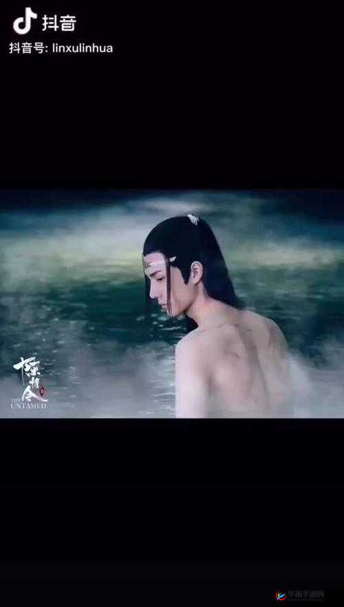 陈情令中忘忘仙贝所蕴含的深意究竟为何令人好奇不已