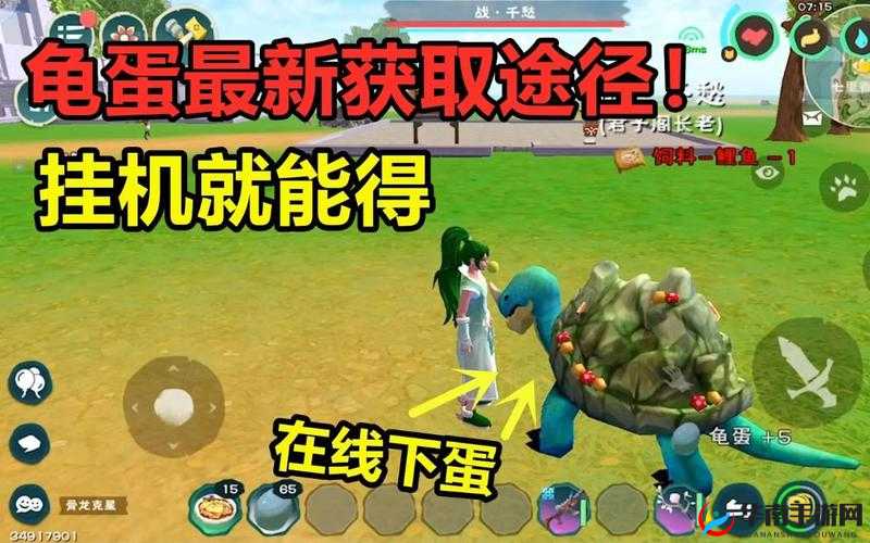 创造与魔法中龟壳获取高爆率地点及龟壳用途全面解析