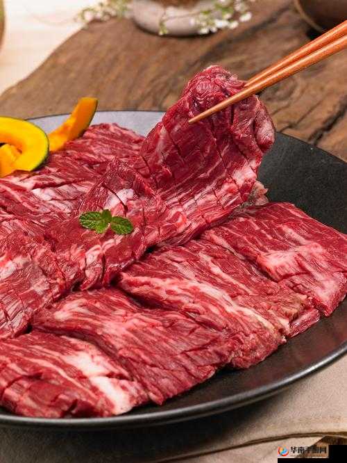 探索放置江湖侠义值的奥秘：它究竟有何重要用途