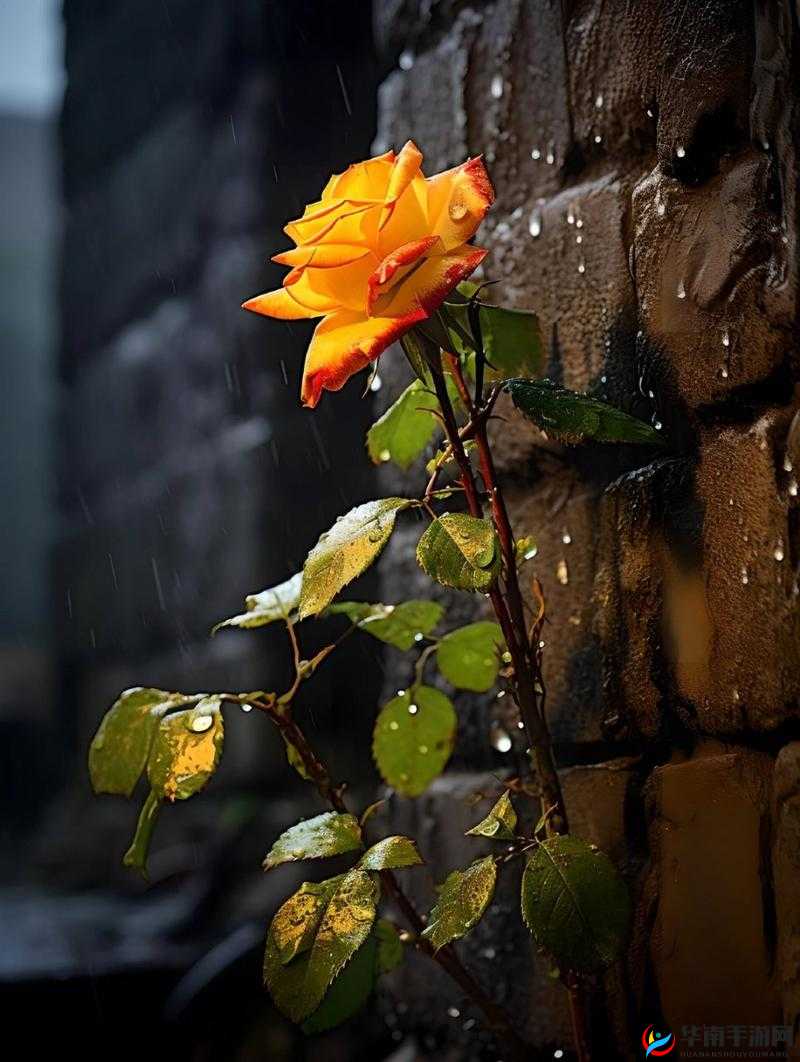 体验侠客风云传的别样风情，从跳过结尾开始