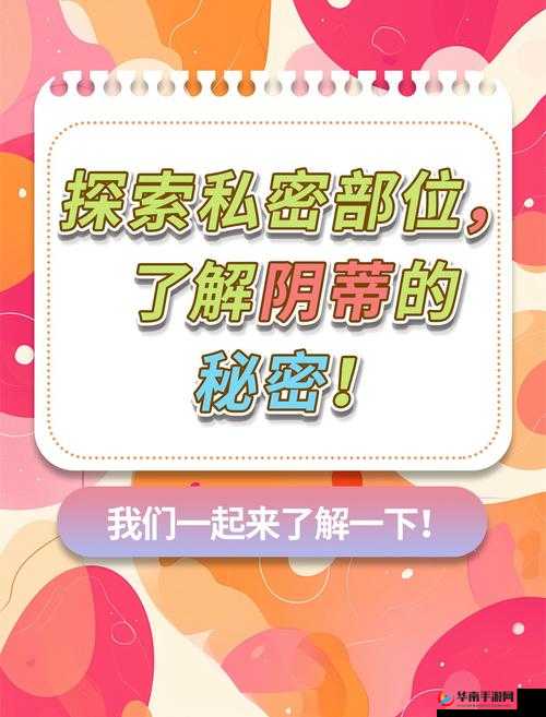 内射无毛：探索性爱的私密领域