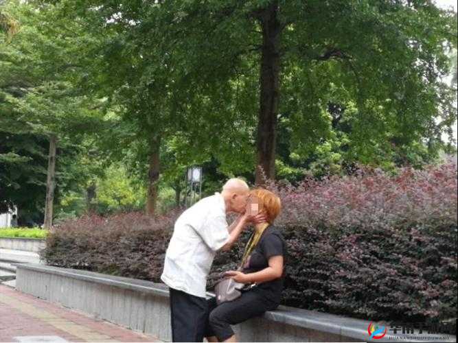 日韩捆绑另类xxxxxx：独特风格与文化现象