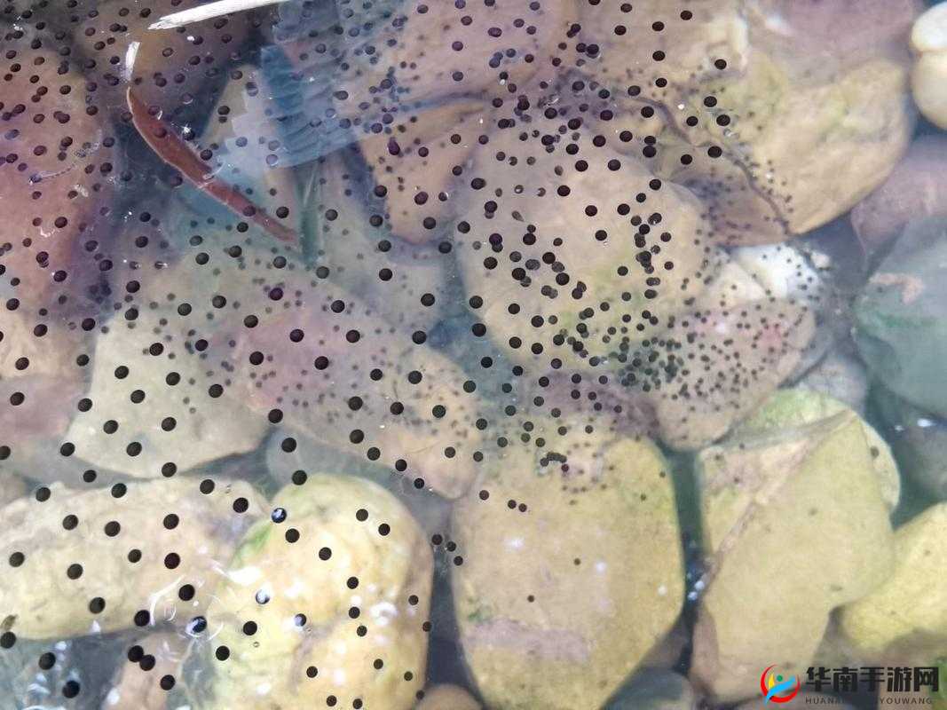 kedouwozipaiwangzhan- 在线观看,免费下载