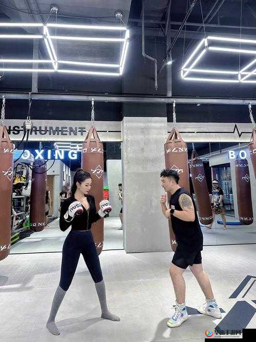 疯狂健身课李欣笔趣:带你燃爆健身之旅