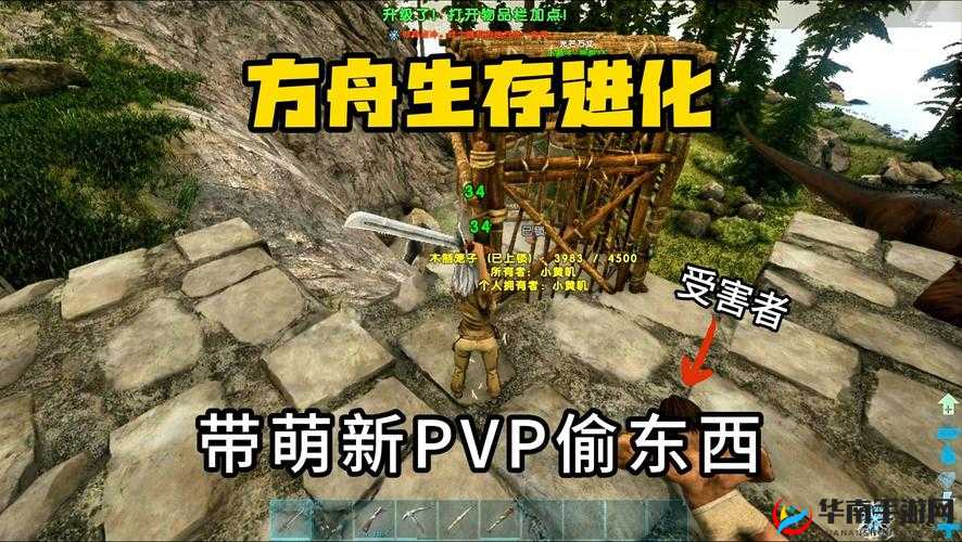 方舟：生存进化新手教学篇实况解说——从零开始，探索神秘世界