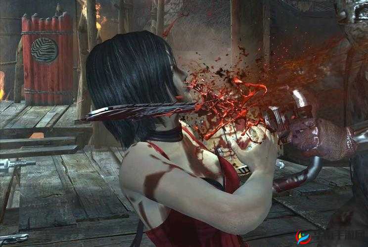 生化危机 5 舔舔视频攻略：全面解析通关技巧与要点