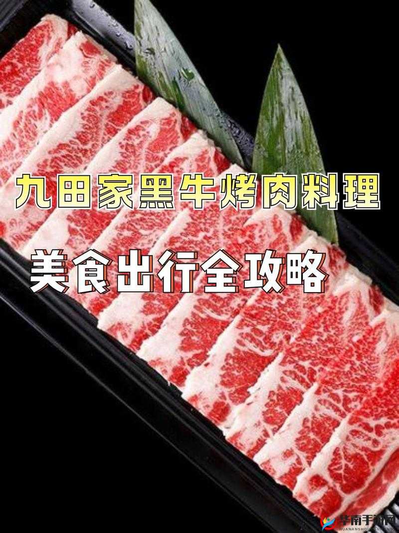 创意料理揭秘：创造与魔法风味猪排厚蛋烧的详细制作方法分享