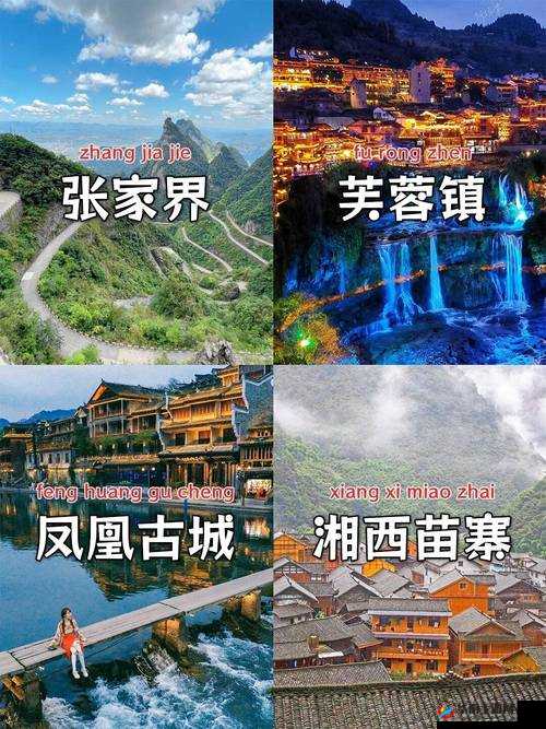 探索百鬼夜宴神秘世界，全方位攻略助你畅玩无阻