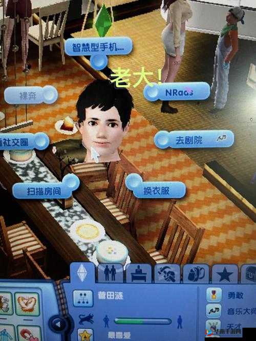 模拟人生 3 主人房物语安装问题全方位解决方案大揭秘