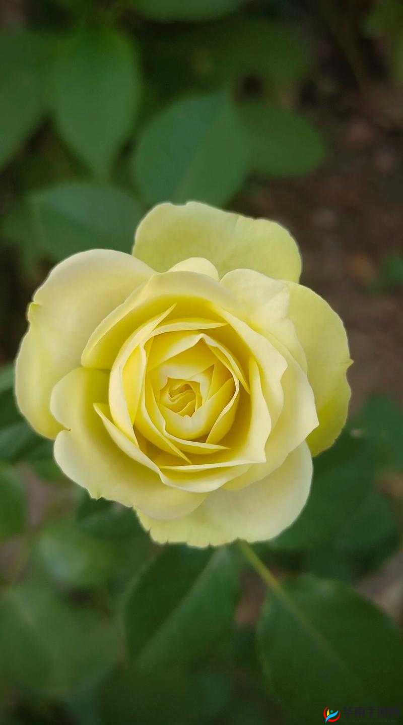 体验战国幻想乡的奇幻世界，一周目后我的感想是……