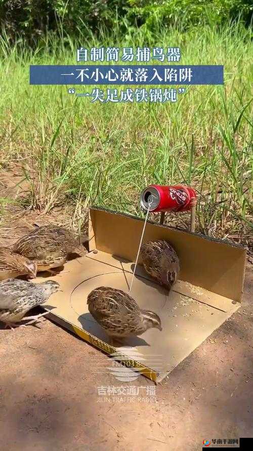 生存战争中简易陷阱制作详细流程全解析