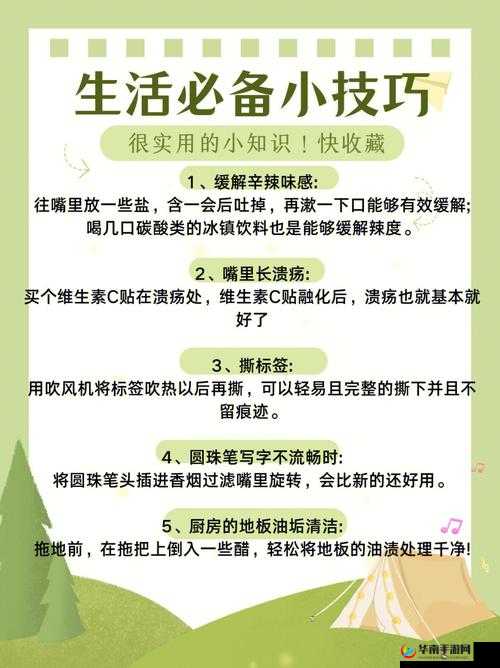 盒子世界中捕捉精灵的详细步骤与实用技巧大揭秘