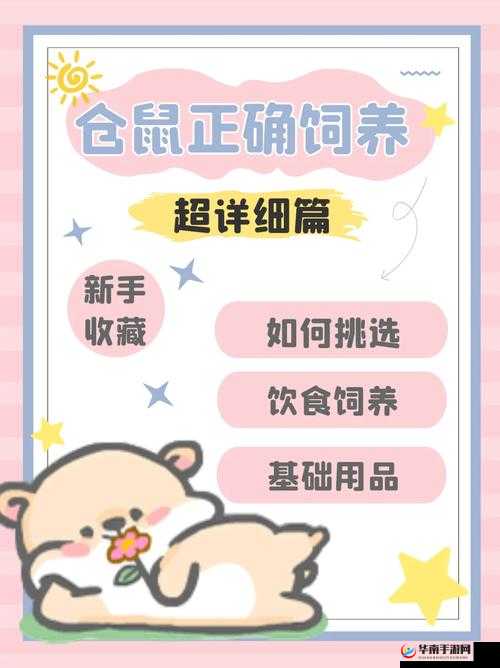 星球探险家必看 全面详细的造车攻略分享及实用技巧介绍