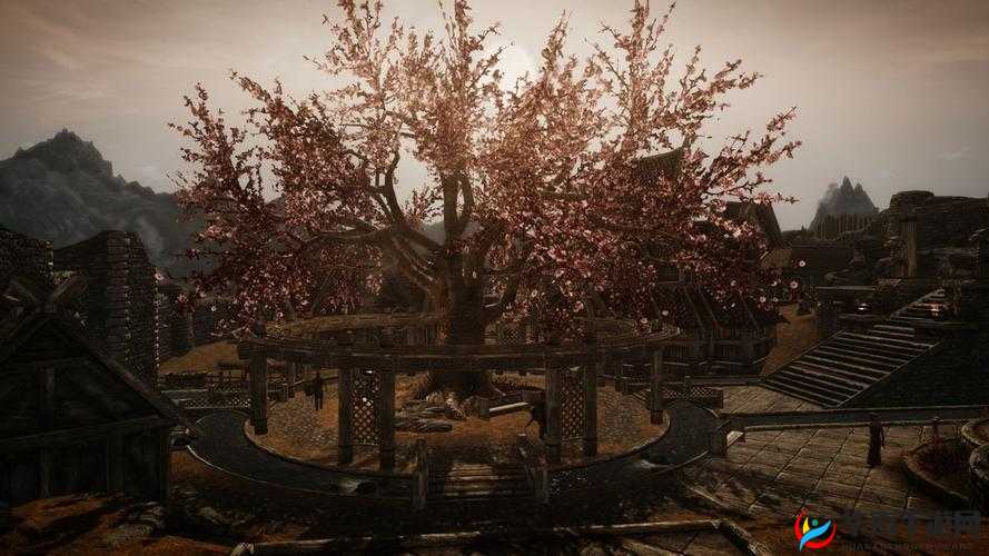 上古卷轴 5 天际使用 ENB 补丁后室内为何变得漆黑无比