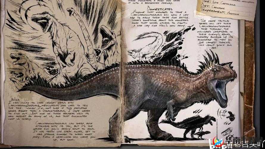 方舟生存进化中让生肉永久保存的方法技巧大揭秘