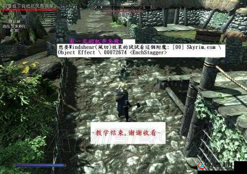 探索上古卷轴 5：天际中附魔与炼金的实用技巧全解