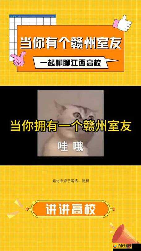 解锁室友的 N 种方式：室友，你别跑