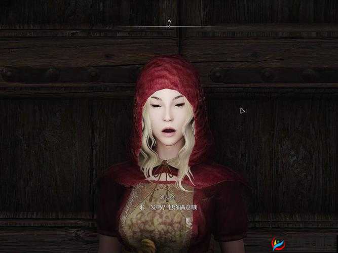 上古卷轴 5 中吸血鬼形态无对话提示的应对之策