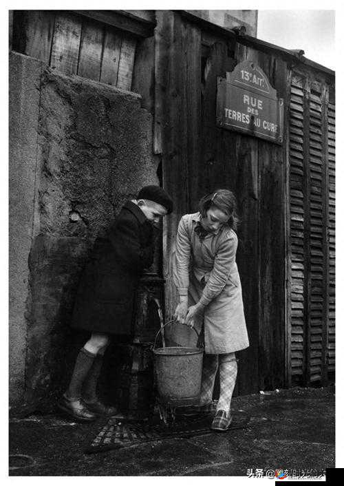 西方 44 大但人文艺术：独特魅力展现