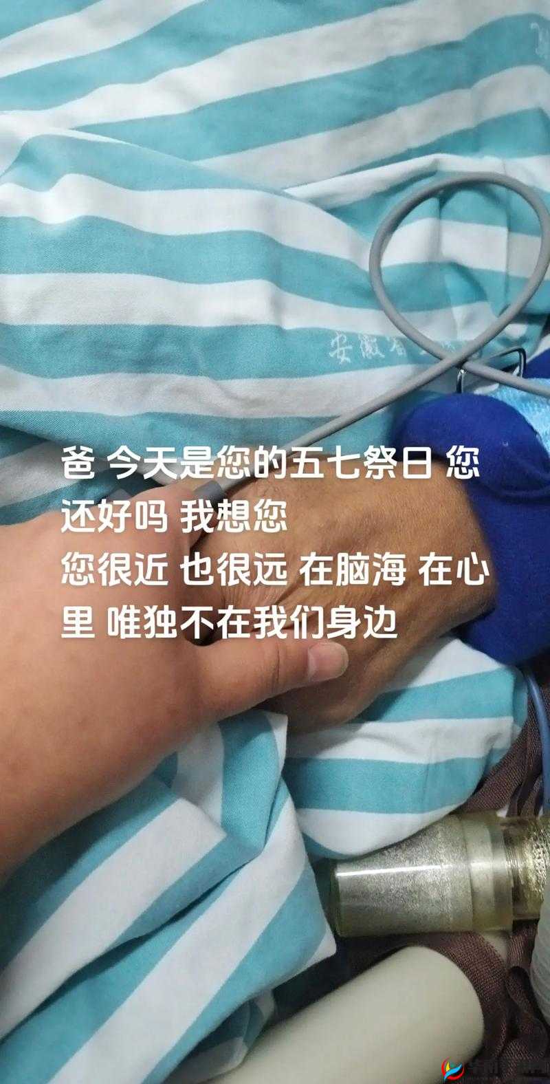 爸放手我是你儿媳妇的说说：背后的故事