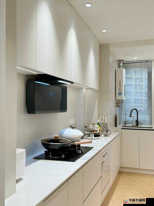 深度评测-我想和你从厨房到阳台 全面剖析