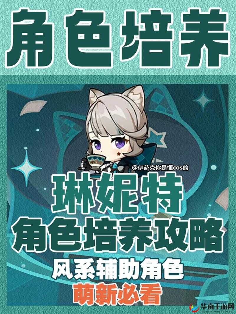 方舟指令维德佛尔尼尔深度解析：角色培养价值探讨