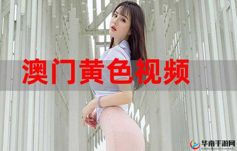 黄色视频 APP 下载:畅享精彩内容