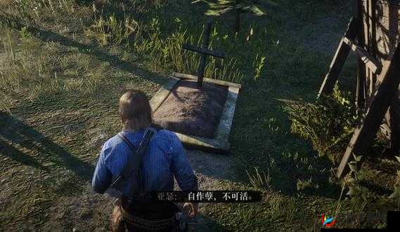 荒野大镖客老太太 500:传奇故事