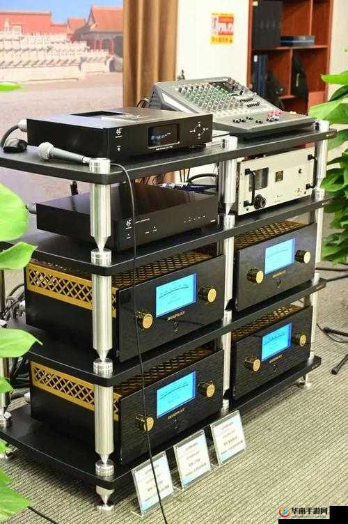 大菠萝 805D4 音响体验分享：感受音乐的魅力