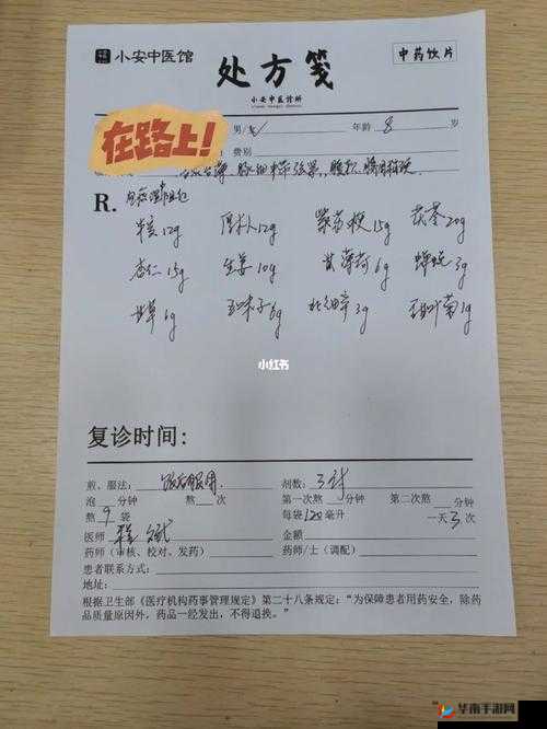 肉食教师食取报告 1：详细分析与解读