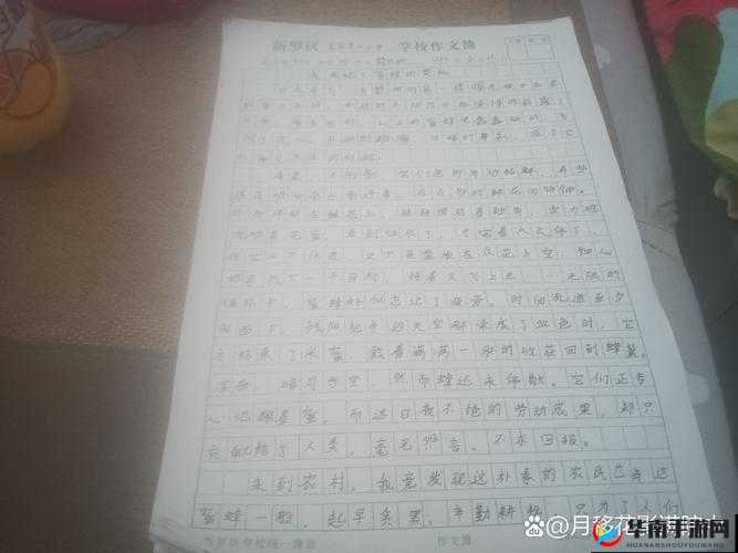 怎么感受到被抄的感觉:揭秘抄袭的秘密