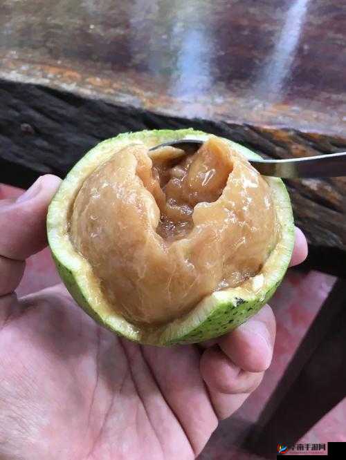 橘砸揭秘：本周情报橘揭晓答题新模式——SP格式揭秘答案揭晓时刻