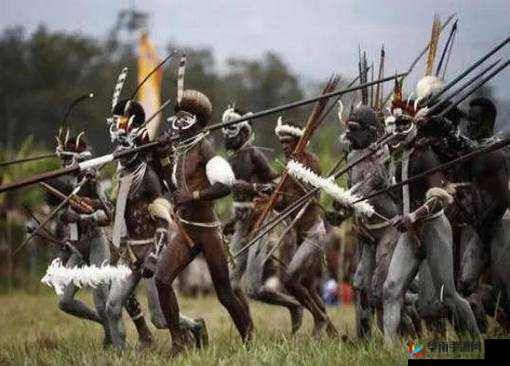 非洲人性功能强大跟什么有关：探寻背后原因