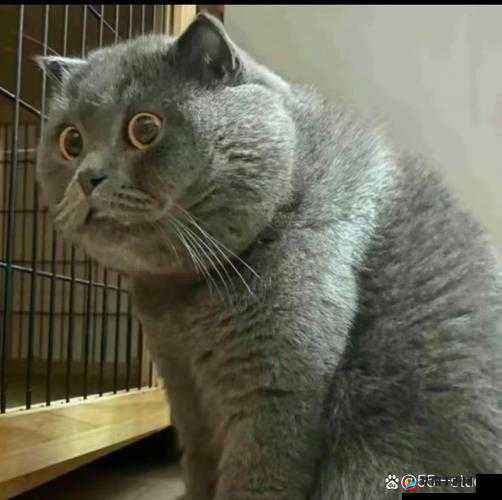 这地方好棒哦我很惊讶：真让人不可思议