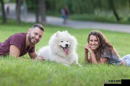 人与狗的温馨互动:爱与陪伴的美好时光