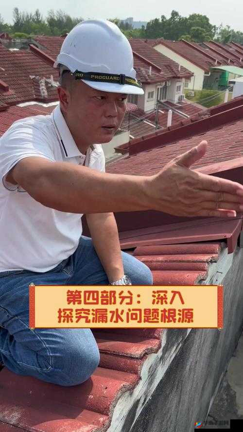 深入探究：天天狼人杀中银水的含义究竟为何