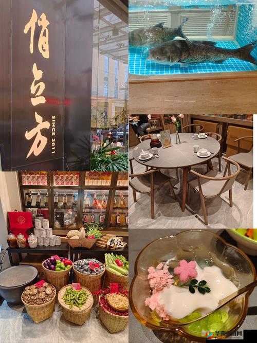 我的蘑菇头好吃吗：探索美食的奇妙之旅