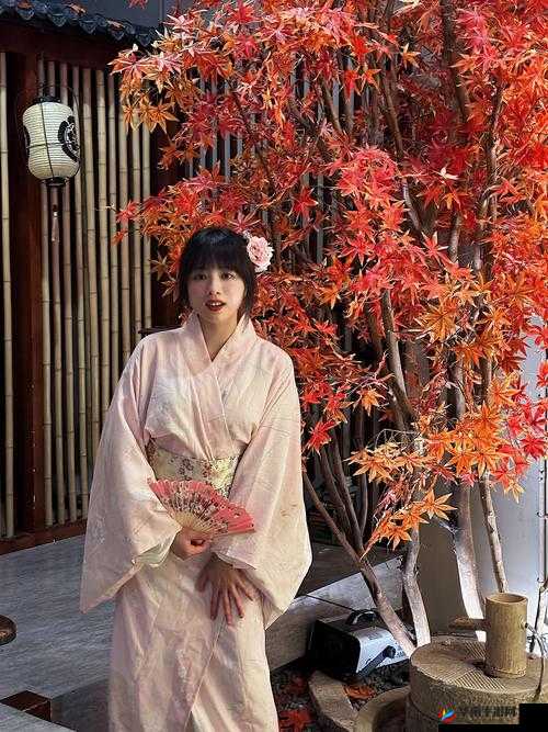 弹弹堂手游之杀马鸡究竟好不好玩？杀马鸡属性全面解析