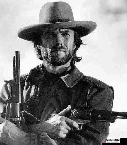 405060 阿姨荒野大镖客的奇妙冒险