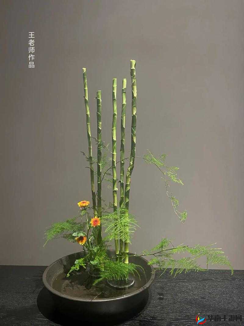 插花弄玉曲径通幽：别有一番韵味